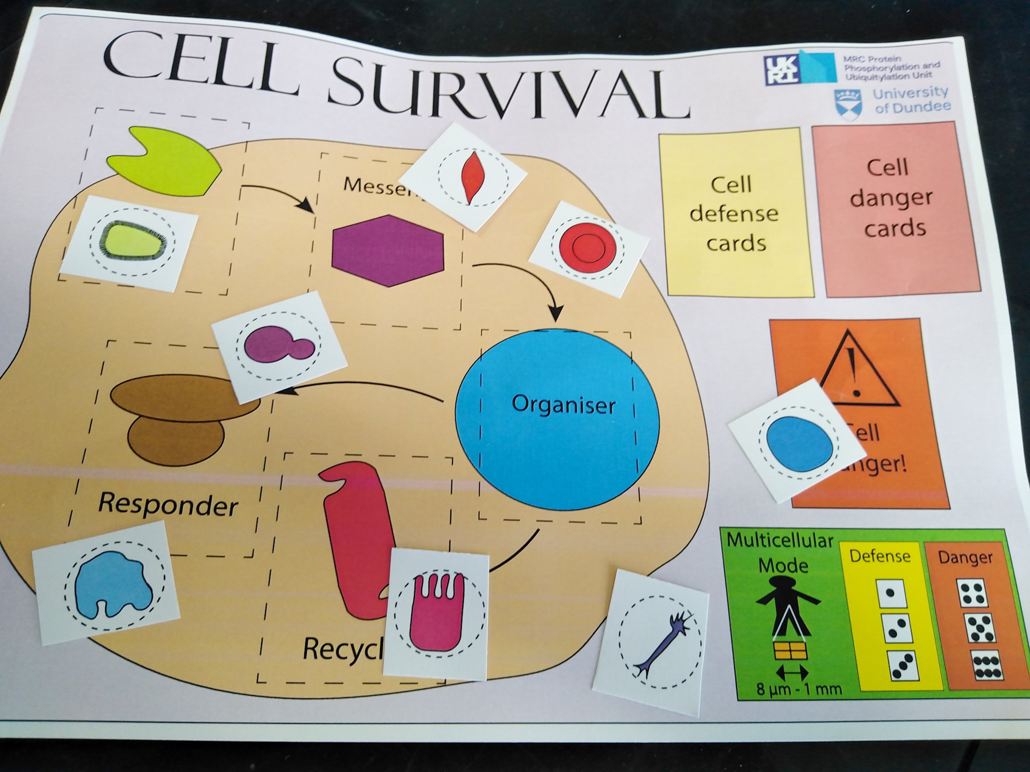 Cell biology games & schools engagement MRC PPU